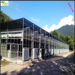玻璃温室-湖南玻璃温室-长沙玻璃温室大棚