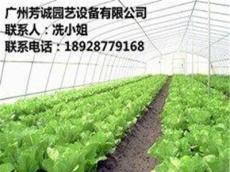 [热销]广州市温室大棚蔬菜大棚蔬菜大棚造价