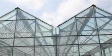 山东博远玻璃温室大棚，玻璃温室大棚造价/设计