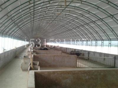 專業搭建養殖大棚 溫室大棚 保溫大棚