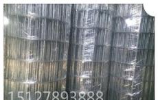 电焊网网片 镀锌电焊网 浸塑电焊网 建筑网片 永华丝网制品有限公司