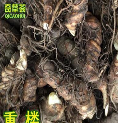 供应金能华农奇草荟大量品种纯正的重楼