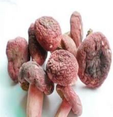 重庆野生红菇功效与作用 见手青菌 北风菌等一斤也批发