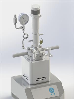 长沙100ml桨叶搅拌磁耦密封性好微型反应釜