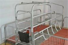 精品推荐养猪场设备 产床 保育床 定位栏