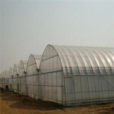 山东优质草莓温室大棚建设公司，草莓塑料温室大棚造价