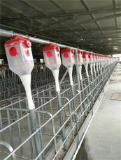 链条料线安装养猪育肥自动化智能控料设备