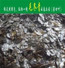 毛冬青茶葉批發(fā) 送廣告錄音 2014火爆產(chǎn)品