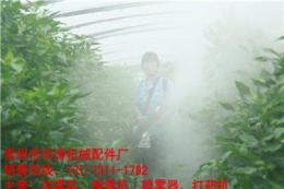 南京销售弥雾机的厂，温室大棚喷药弥雾机报价