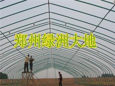 钢架大棚.大跨度蔬菜双梁大棚骨架.郑州绿洲大地公司-郑州市新的供应信息