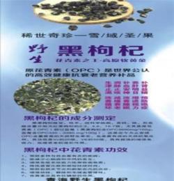 出售原生態(tài)青海野生黑枸杞