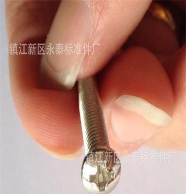 江苏厂家生产供应 十字圆头螺丝 不锈钢螺丝 支持定做