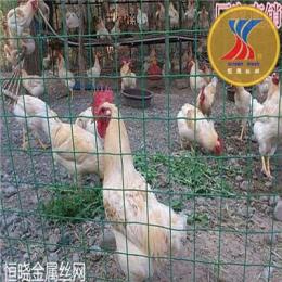 养鸡场围栏 散养鸡围网护栏 养鸡铁丝网 荷兰网厂家直销价格优惠