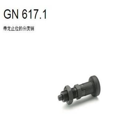 德国原装GANTER进口GN617/GN617.1分度销