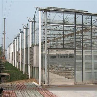 日光玻璃温室安装/大棚保温被厂/阳谷鑫创温室工程有限公司