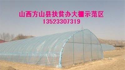 山西无支柱阳光温室大棚建设 镀锌钢管温室大棚骨架