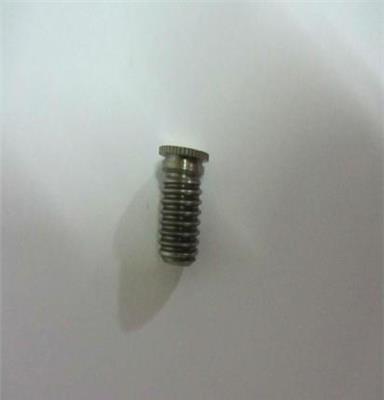 不锈钢螺丝厂家直销 不锈钢薄头机牙螺柱 不锈钢平头螺螺丝钉