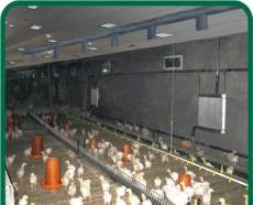 鸡舍供暖设备代理商-德州市新的供应信息
