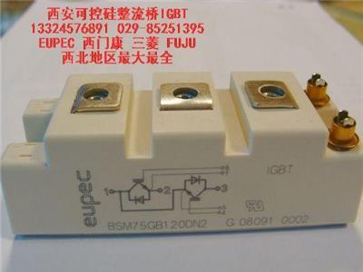 BSMGBDN西安代理商批发报价