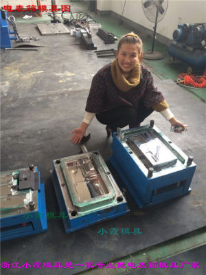 單相八位電表箱塑膠模具