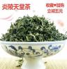 炒青天堂绿茶炎陵特产高山云雾绿茶叶 手工明前湖南精装500g