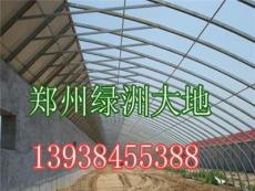 郑州温室大棚,郑州几字钢大棚骨架,钢架蔬菜大棚,绿洲大地公司