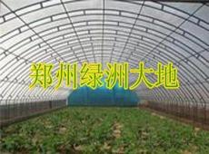 蔬菜大棚厂家,温室大棚建造,养殖大棚安装,钢管大棚设计,郑州绿洲大地
