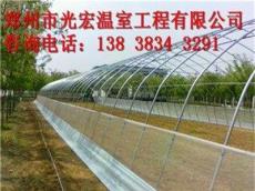 郑州专业建造优质大棚建造技术标准