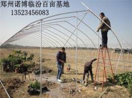 單體朔料拱棚建造 鄭州朔料大棚建設價格