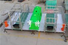 专业生产养猪设备母猪产床仔猪保育床母猪定位栏