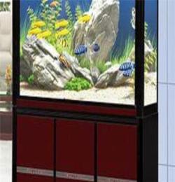 成都地区销售规模较大的生态水族箱 南充鱼缸