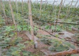 供应陕西省渗水带滴灌厂家/专业生产线
