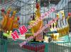 供应北京袋鼠跳游乐设备现货质量好祥和游乐