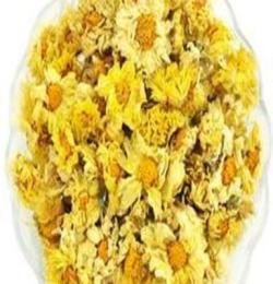 黄山优质的菊花·厂家直销，蚌埠优质菊花
