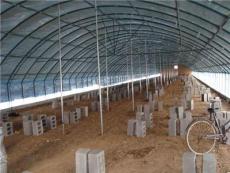 山东水果种植温室，温室大棚建设安装公司