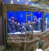 福建鱼缸工厂承接大型玻璃鱼缸工程 海底世界水族箱
