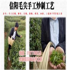 农家信阳毛尖手工茶回购率高达65.58%高于同行2016年新茶