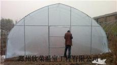 郑州专业建造温室大棚，拱棚建造厂家