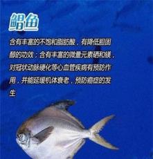大量供应 冷冻粗加工水产品鲳鱼 海鲜系列产品