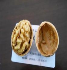 厂家直销供应多种型号规格齐全的 纸皮核桃 新疆温宿木本林场