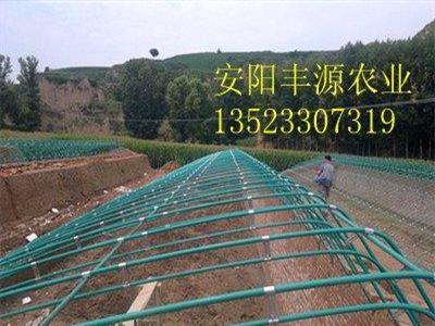 养殖大棚骨架建设.热镀锌钢管养殖大棚支架机.钢架大棚厂家.新型大棚支架机-安阳市