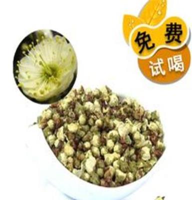 乐泊牌特级绿萼梅花花草茶 特级白梅花