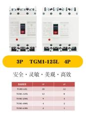 天正塑殼斷路器TGM1-125L/3300電流100A125A