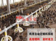 肉鸡料线-鸡场自动化养鸡设备-鸡用料线