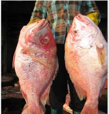 儋州红鱼粽