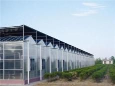文络型智能阳光板温室大棚设计建造安装