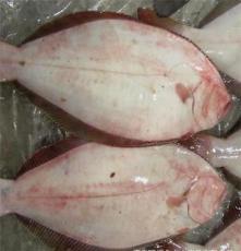供应冷冻牙片鱼 鱼类产品 水产品 厂家直销 图