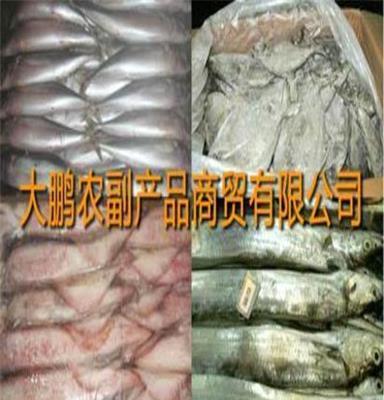 上海北极虾价格，批发冷冻水产品