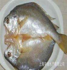 宇琦海鲜礼品坊——腌制缅甸黄鱼