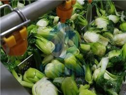 大枣气泡清洗机生菜叶类蔬菜去泥清洗机食堂酒店用大型洗菜机